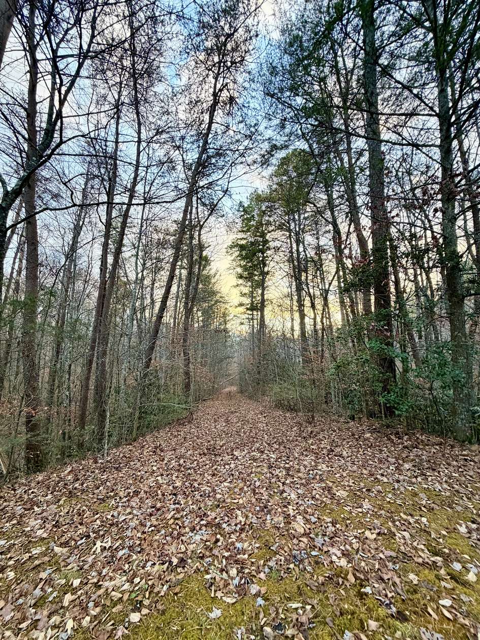 7.2 Acres of Residential Land for Sale in Sevierville, Tennessee