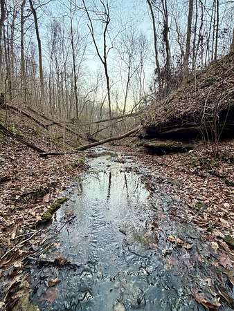 11.5 Acres of Land for Sale in Ashland City, Tennessee