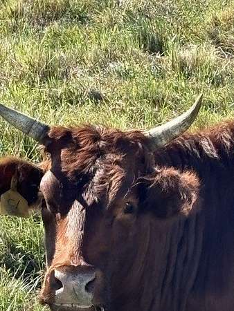 125 Acres of Recreational Land with Home for Sale in Fort Pierce, Florida