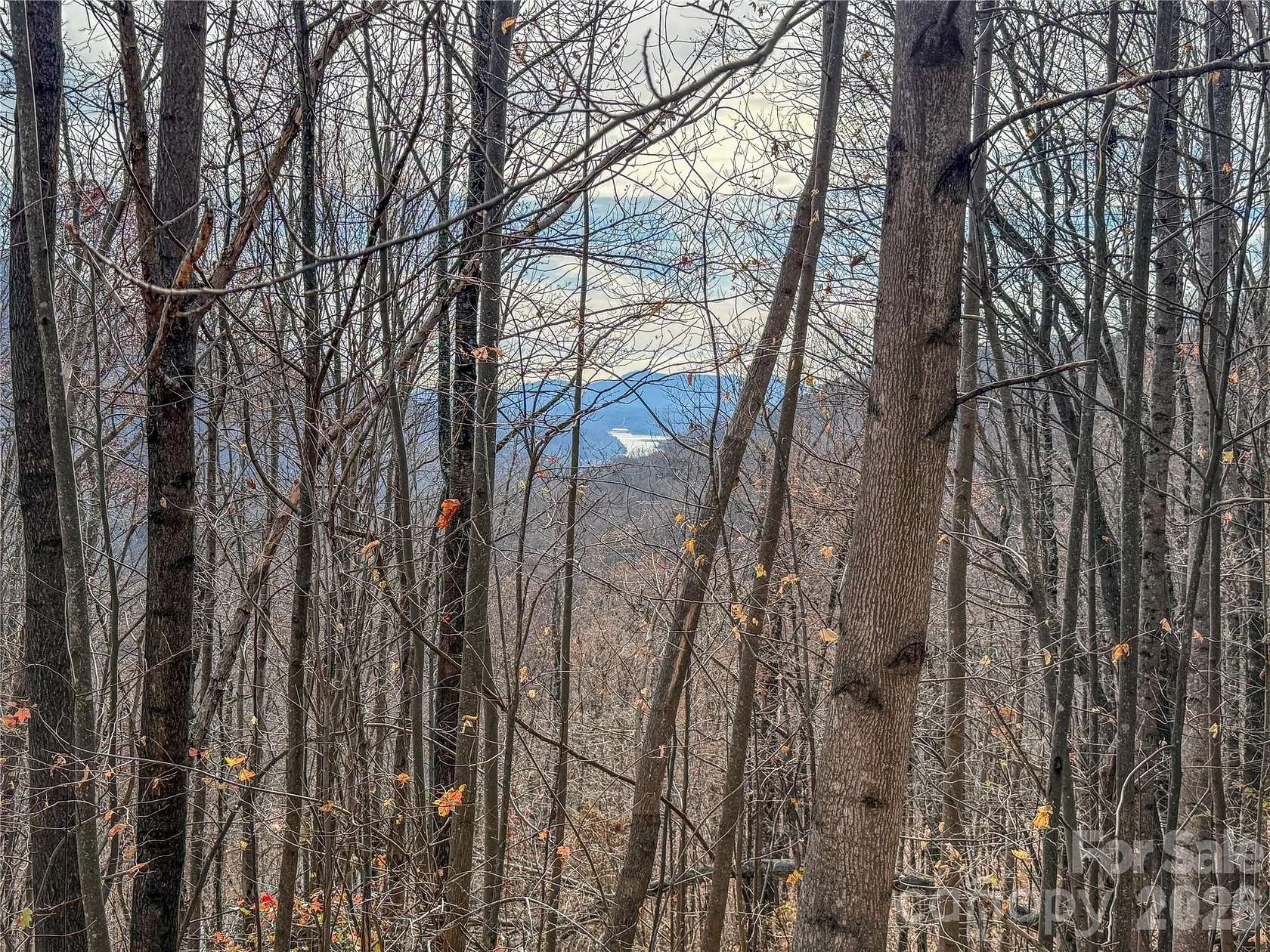 1.82 Acres of Residential Land for Sale in Lake Lure, North Carolina