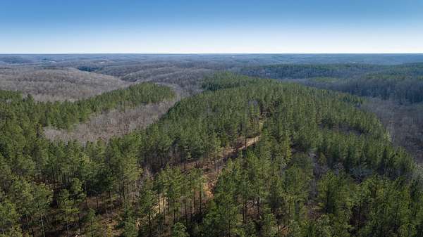 763 Acres of Recreational Land & Farm for Sale in Centerville, Tennessee