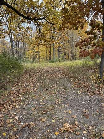 3.25 Acres of Residential Land for Sale in Buchanan, Michigan