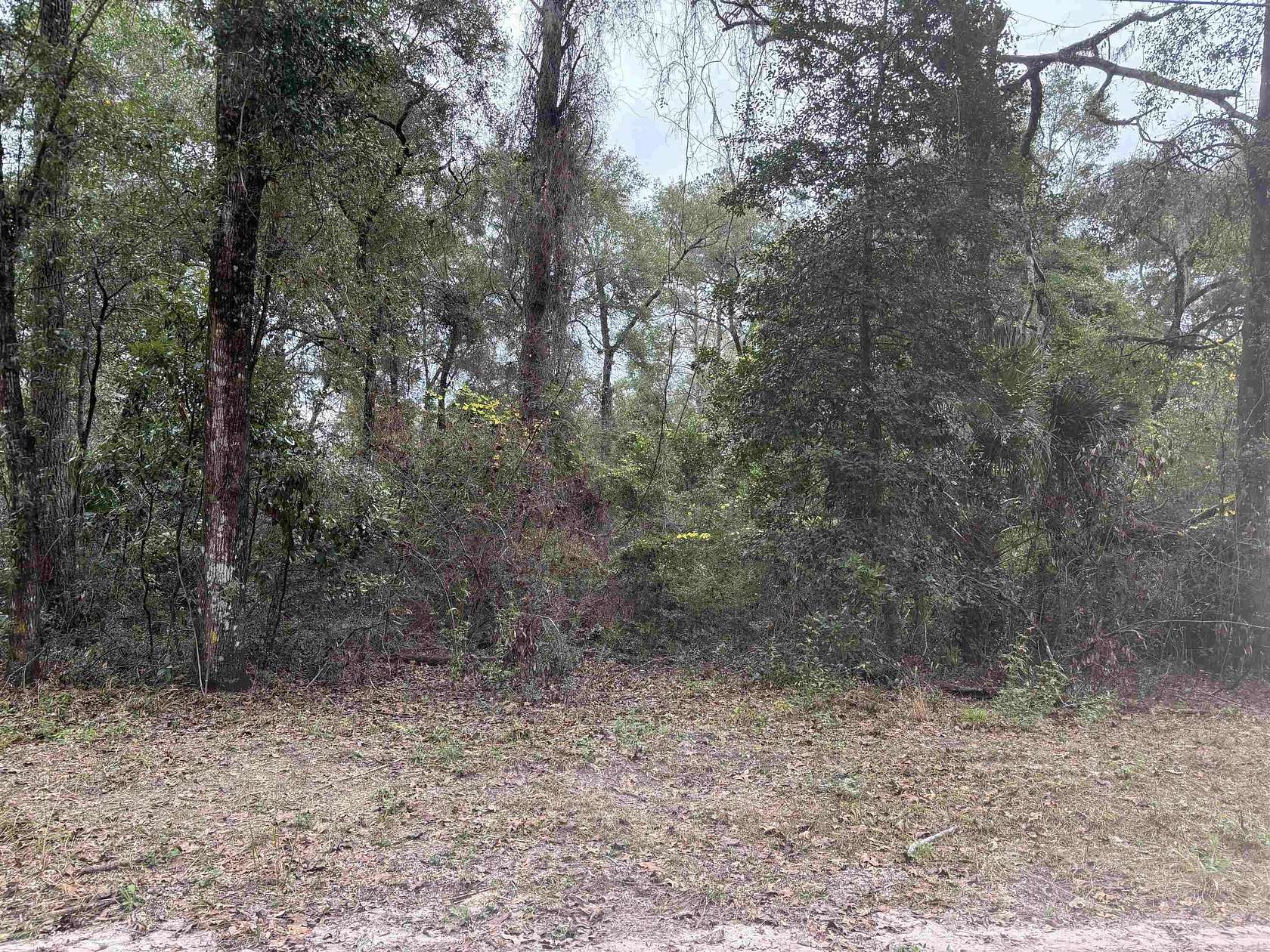 0.11 Acres of Residential Land for Sale in Crawfordville, Florida