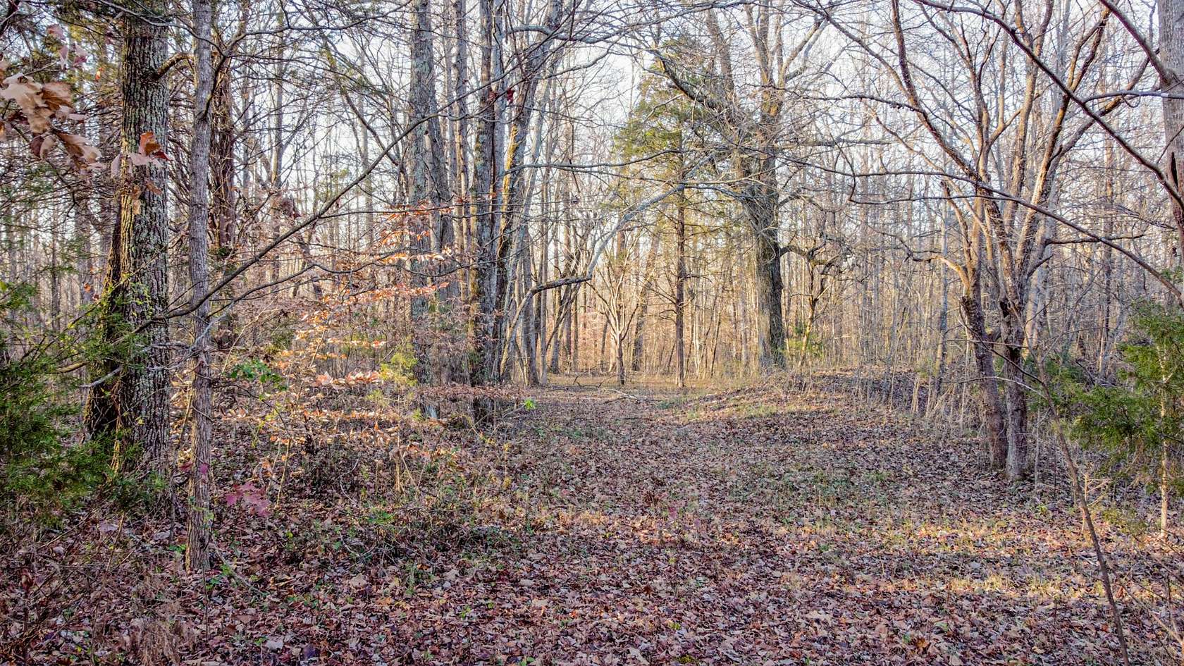 5.78 Acres of Residential Land for Sale in Bethpage, Tennessee