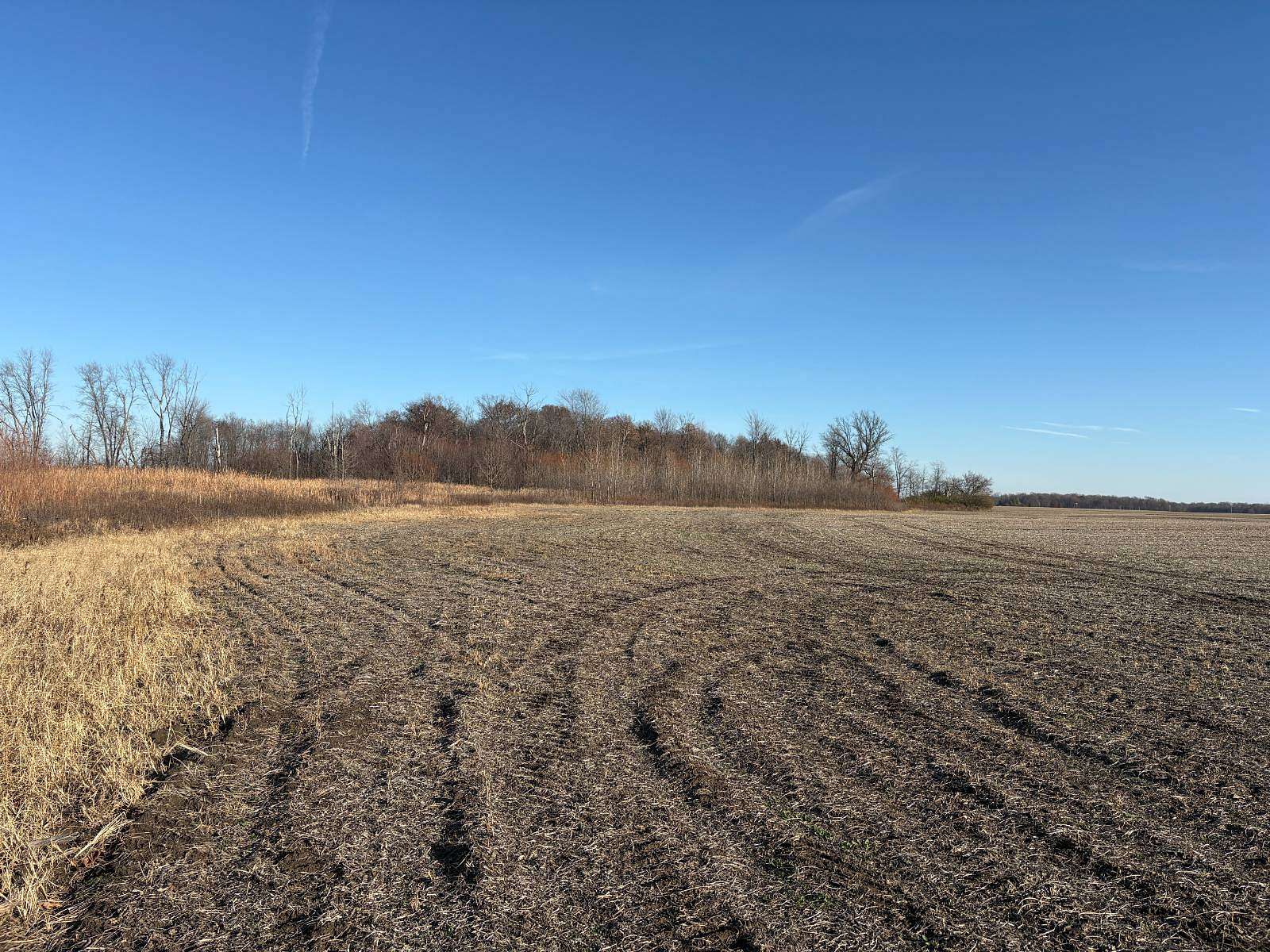 82 Acres of Agricultural Land for Sale in Spiceland, Indiana