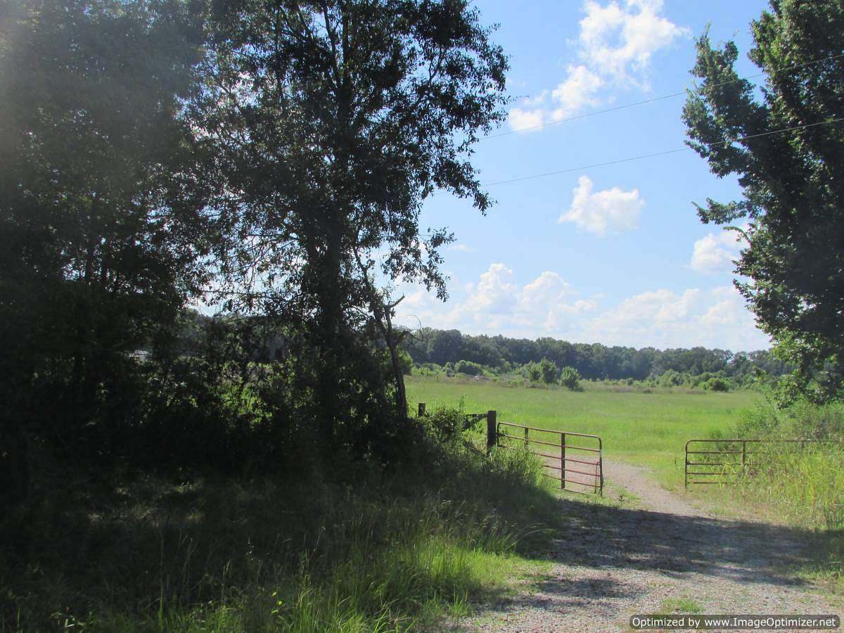 72.5 Acres of Agricultural Land for Sale in Canton, Mississippi