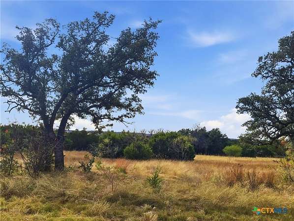 20 Acres of Recreational Land for Sale in Evant, Texas