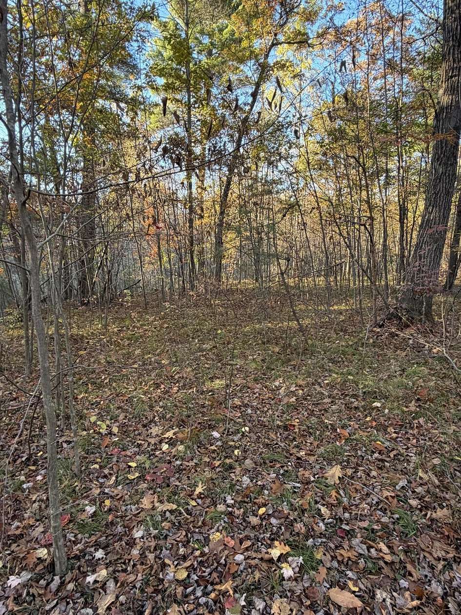 5 Acres of Land for Sale in Howard City, Michigan