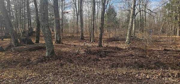 1 Acre of Residential Land for Sale in Pickerel, Wisconsin