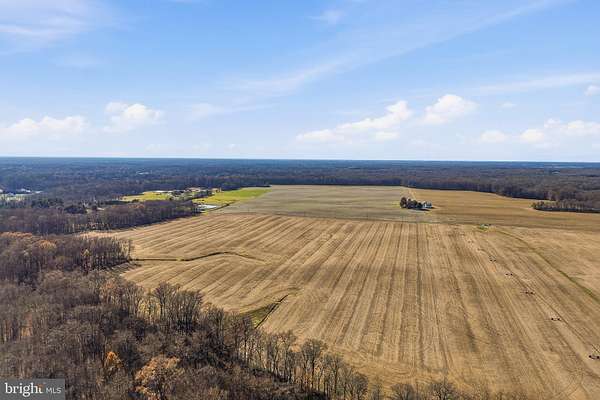 98 Acres of Land for Sale in Townsend, Delaware