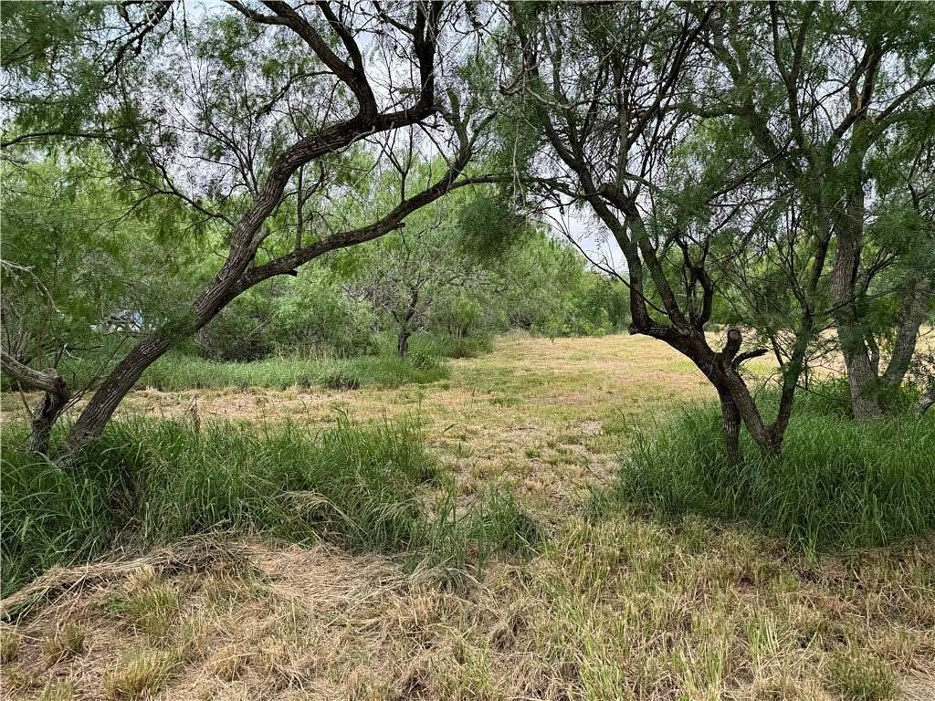 5 Acres of Residential Land for Sale in Corpus Christi, Texas