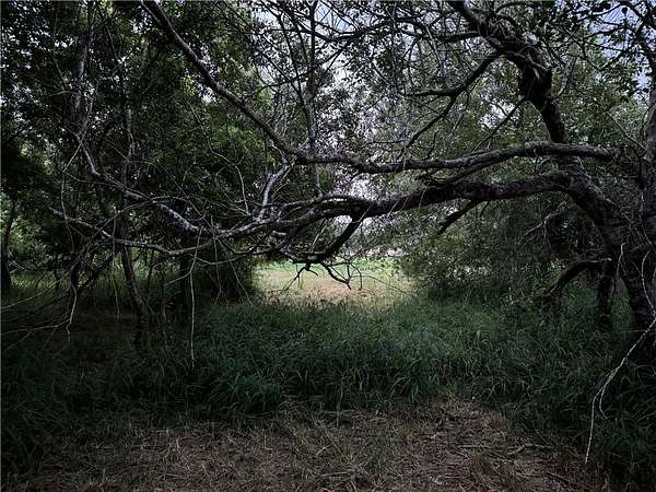 5 Acres of Residential Land for Sale in Corpus Christi, Texas