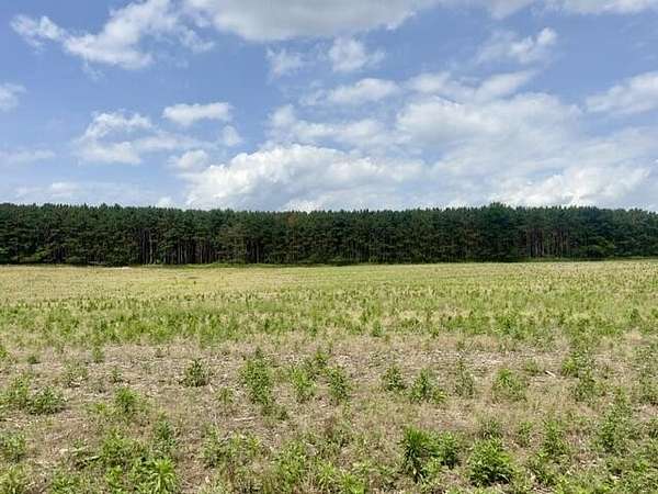3.24 Acres of Residential Land for Sale in Grass Lake, Michigan