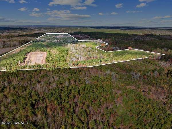 67 Acres of Recreational Land for Sale in White Oak, North Carolina