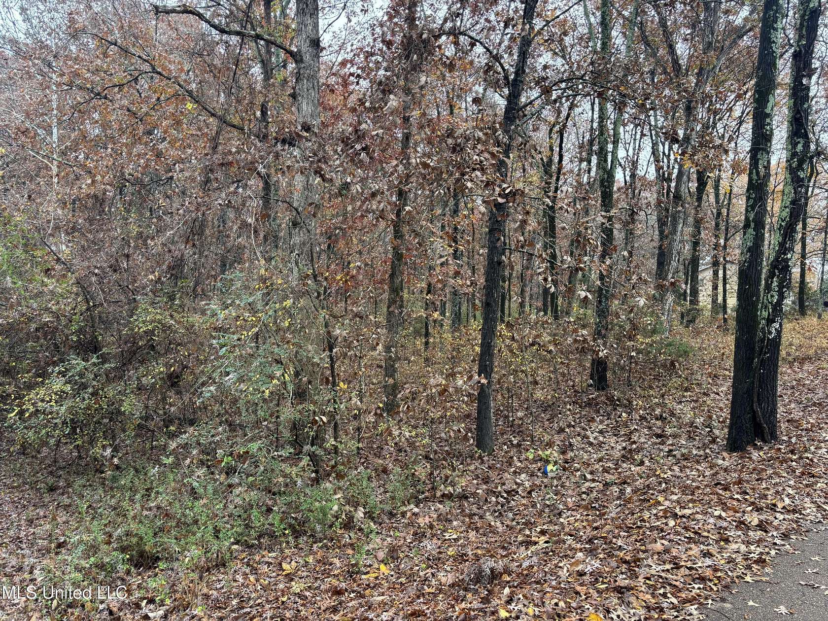 1 Acre of Residential Land for Sale in Olive Branch, Mississippi