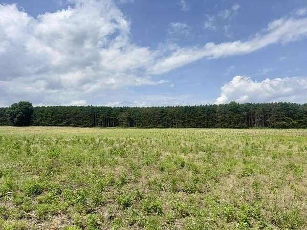 3.27 Acres of Residential Land for Sale in Grass Lake, Michigan