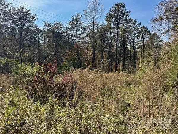 18.3 Acres of Land with Home for Sale in Rutherfordton, North Carolina