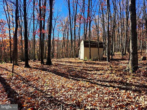 2.74 Acres of Land for Sale in Delray, West Virginia