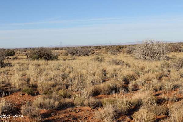 37 Acres of Land for Sale in Heber, Arizona