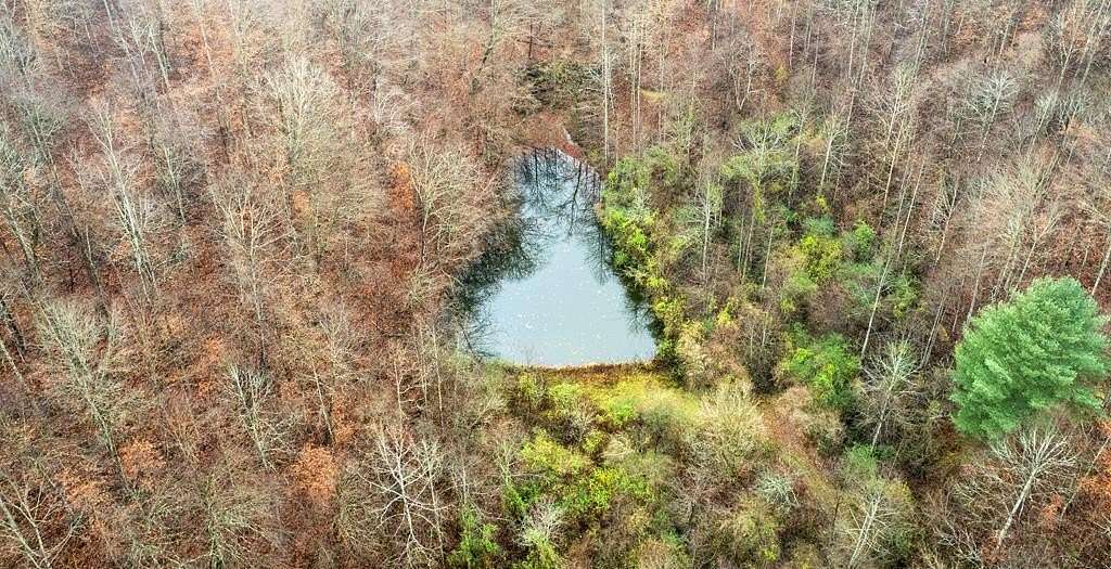 135 Acres of Recreational & Residential Land for Sale in Sidney, Kentucky