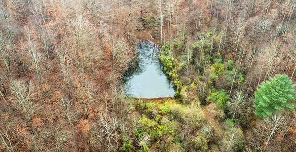 135 Acres of Recreational & Residential Land for Sale in Sidney, Kentucky