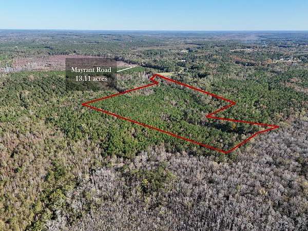 13.1 Acres of Recreational Land for Sale in Rembert, South Carolina