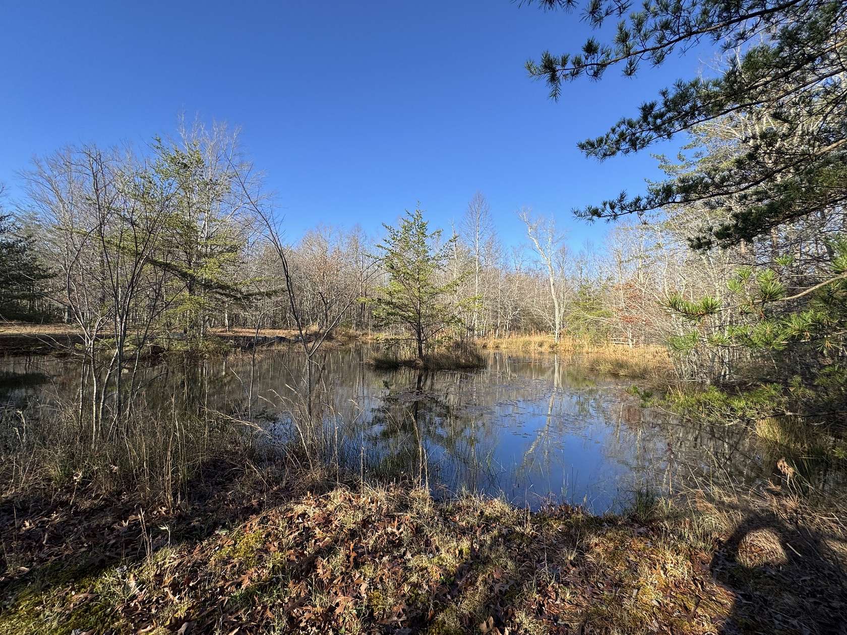 12.2 Acres of Land for Sale in Tracy City, Tennessee