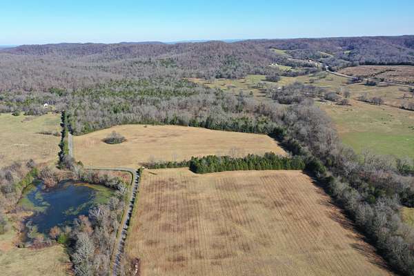 162 Acres of Recreational Land & Farm for Sale in Petersburg, Tennessee