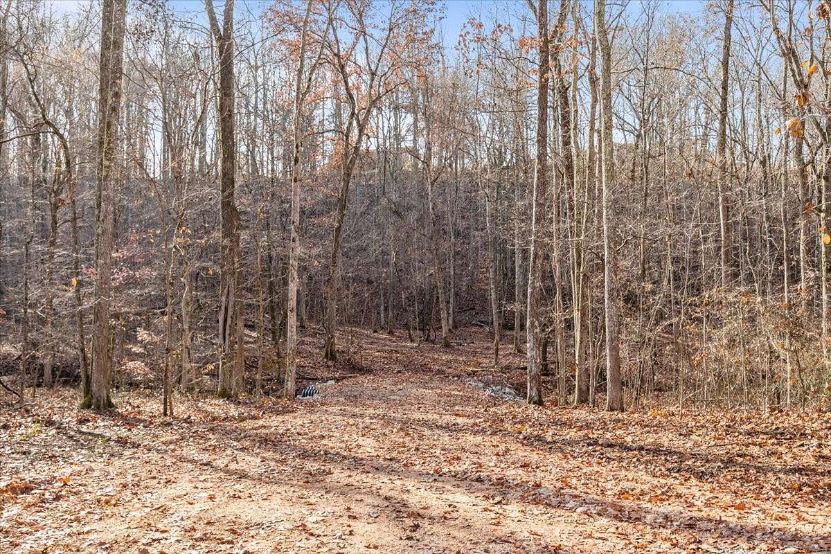 7.2 Acres of Residential Land for Sale in Waverly, Tennessee