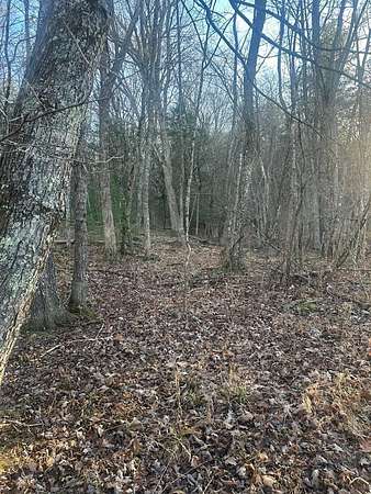 10 Acres of Recreational Land for Sale in Dublin, Virginia