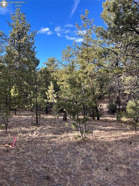 2.46 Acres of Land for Sale in Cotopaxi, Colorado
