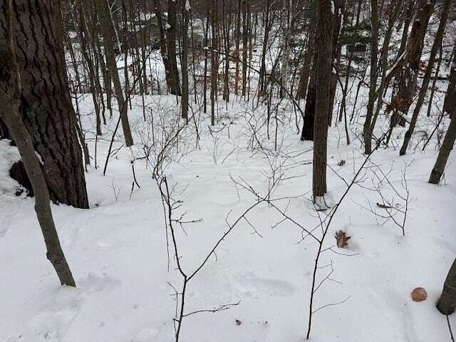 0.25 Acres of Land for Sale in Mecosta, Michigan