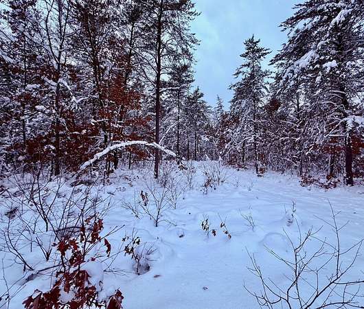 2.25 Acres of Land for Sale in Bitely, Michigan