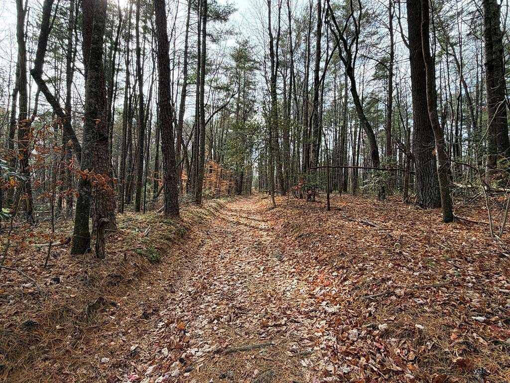 25 Acres of Recreational Land for Sale in Cana, Virginia