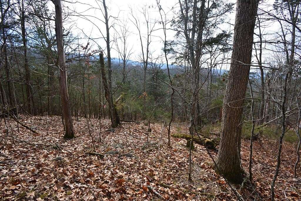 2.17 Acres of Land for Sale in Pounding Mill, Virginia
