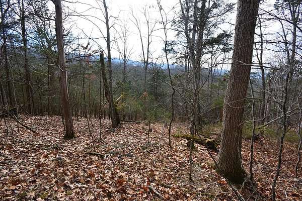 2.17 Acres of Land for Sale in Pounding Mill, Virginia
