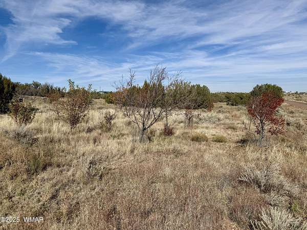 5.18 Acres of Land for Sale in Snowflake, Arizona