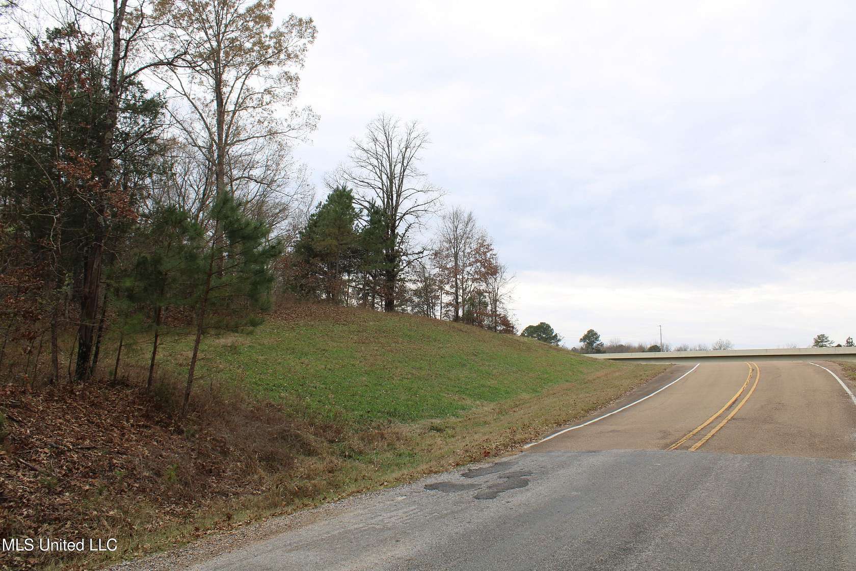 45 Acres of Recreational Land for Sale in Byhalia, Mississippi