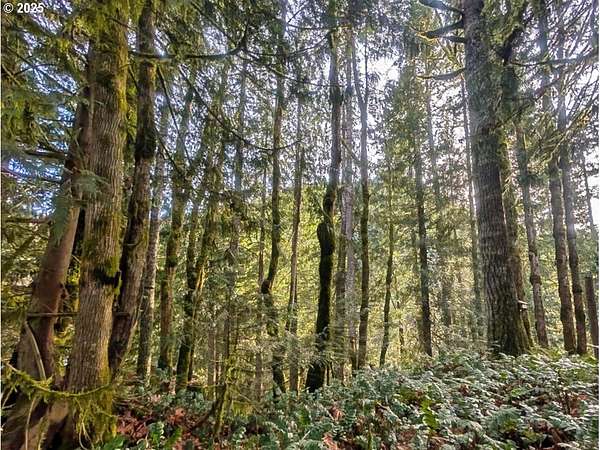 0.33 Acres of Residential Land for Sale in Welches, Oregon
