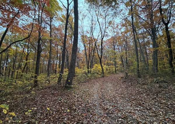 8 Acres of Residential Land for Sale in Altamont, Tennessee