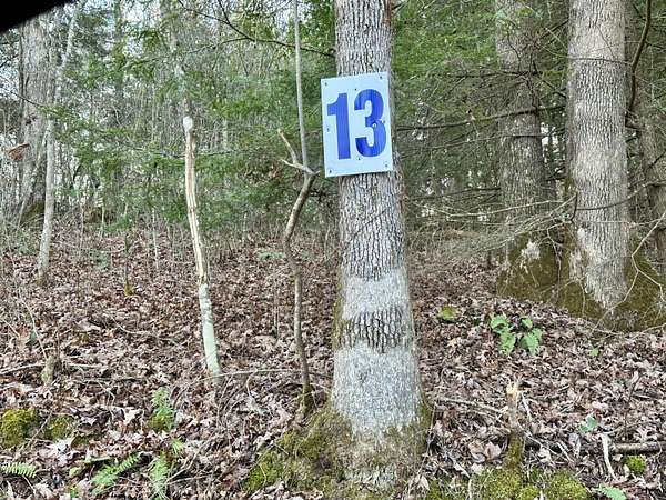 0.52 Acres of Land for Sale in East Bernstadt, Kentucky