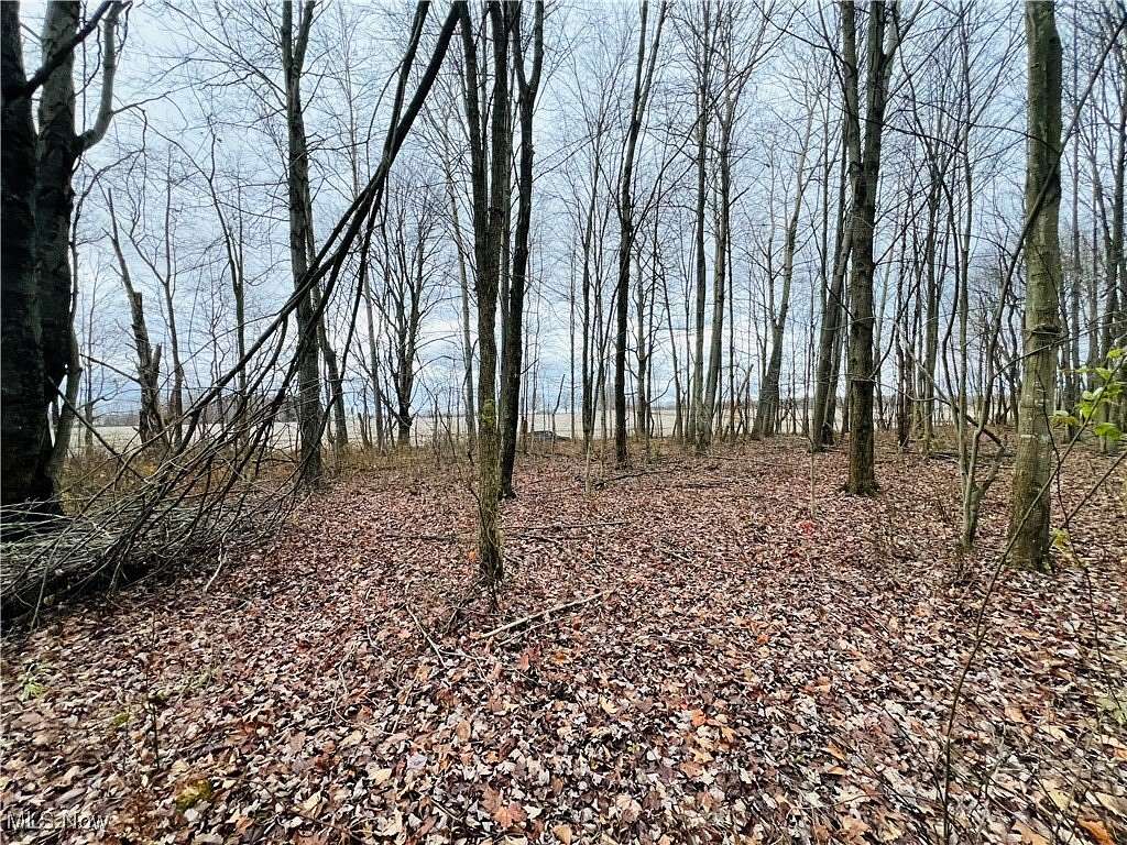 10 Acres of Recreational Land for Sale in Kinsman, Ohio
