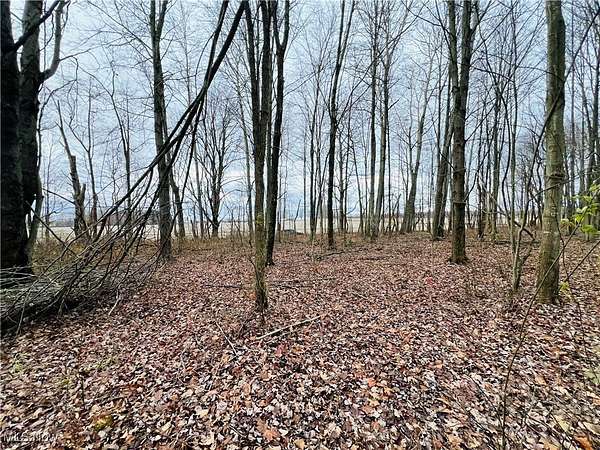 10 Acres of Recreational Land for Sale in Kinsman, Ohio