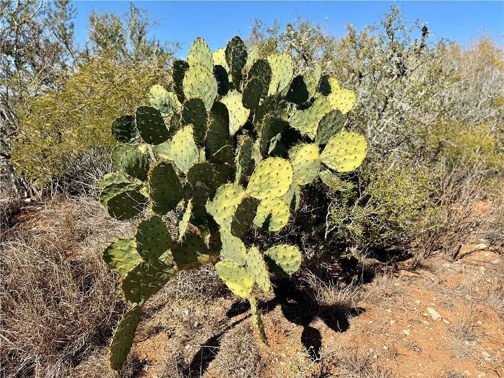 26.8 Acres of Recreational Land for Sale in San Diego, Texas