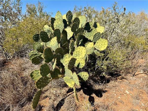 26.8 Acres of Recreational Land for Sale in San Diego, Texas