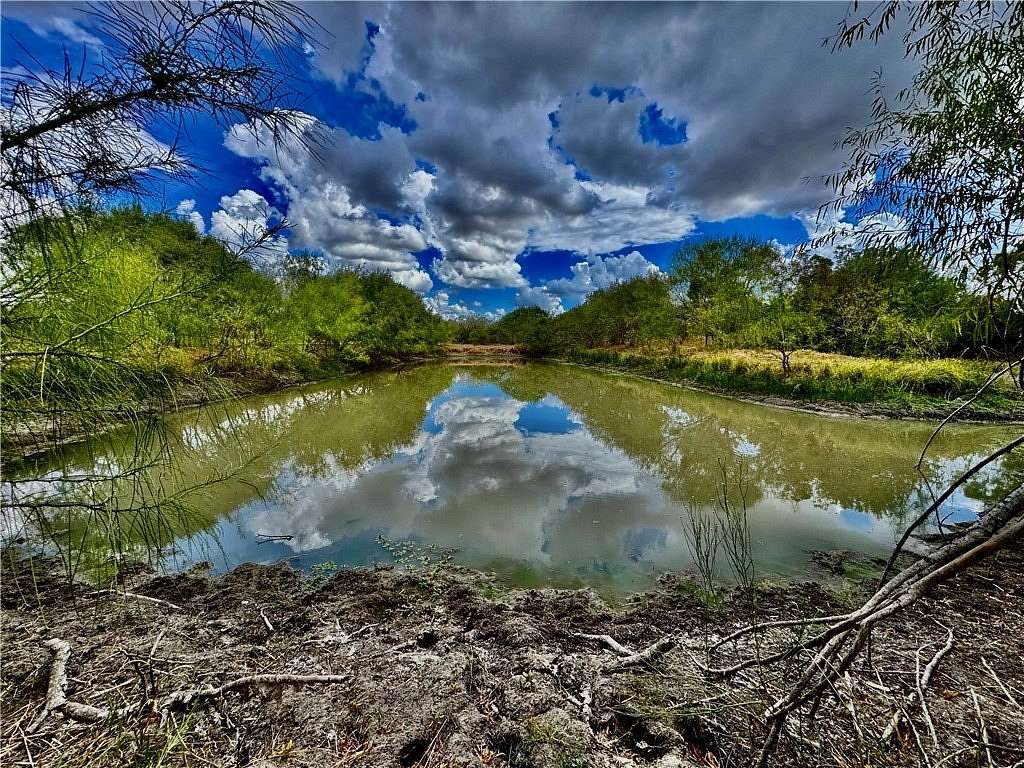 22.8 Acres of Recreational Land & Farm for Sale in Floresville, Texas