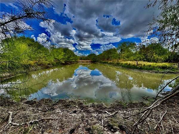 22.8 Acres of Recreational Land & Farm for Sale in Floresville, Texas
