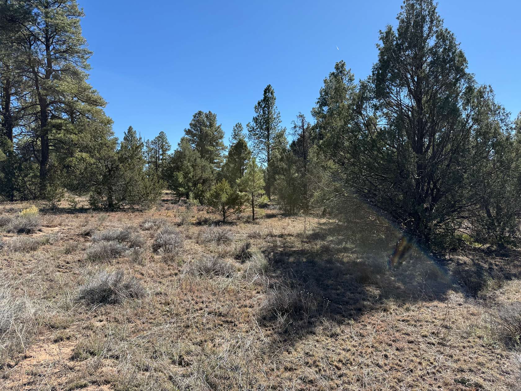 10 Acres of Residential Land for Sale in Grants, New Mexico