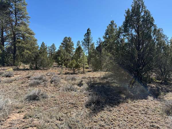 10 Acres of Residential Land for Sale in Grants, New Mexico
