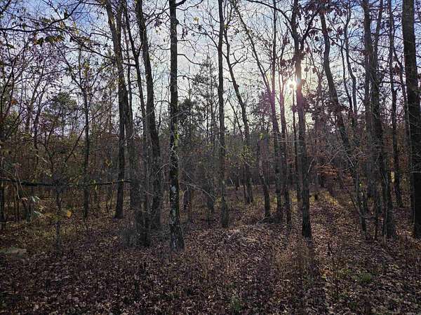 0.64 Acres of Residential Land for Sale in Hot Springs Village, Arkansas